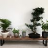 Banc présentoir plantes pieds DESIGN ACIER